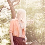 211562 211562