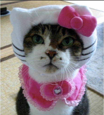 Foto: 
