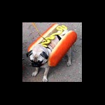 Mops