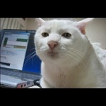 Emil_M