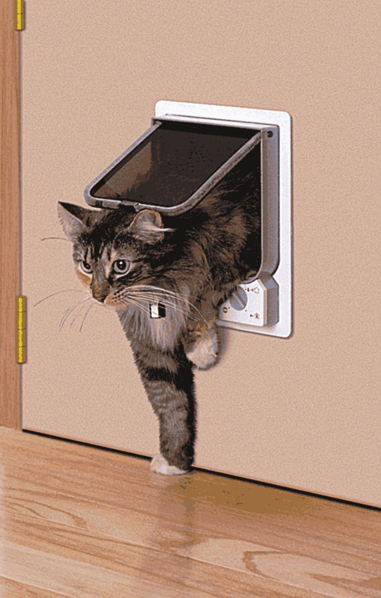 Elektromagnetisk kattlucka