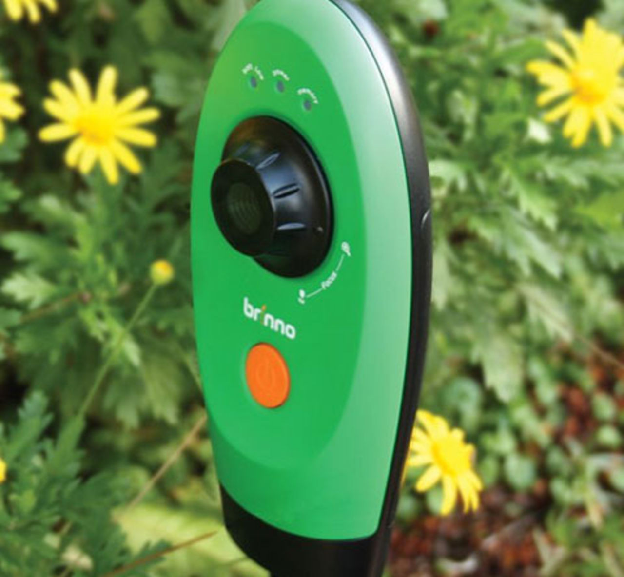 Övervaka dina blommor!