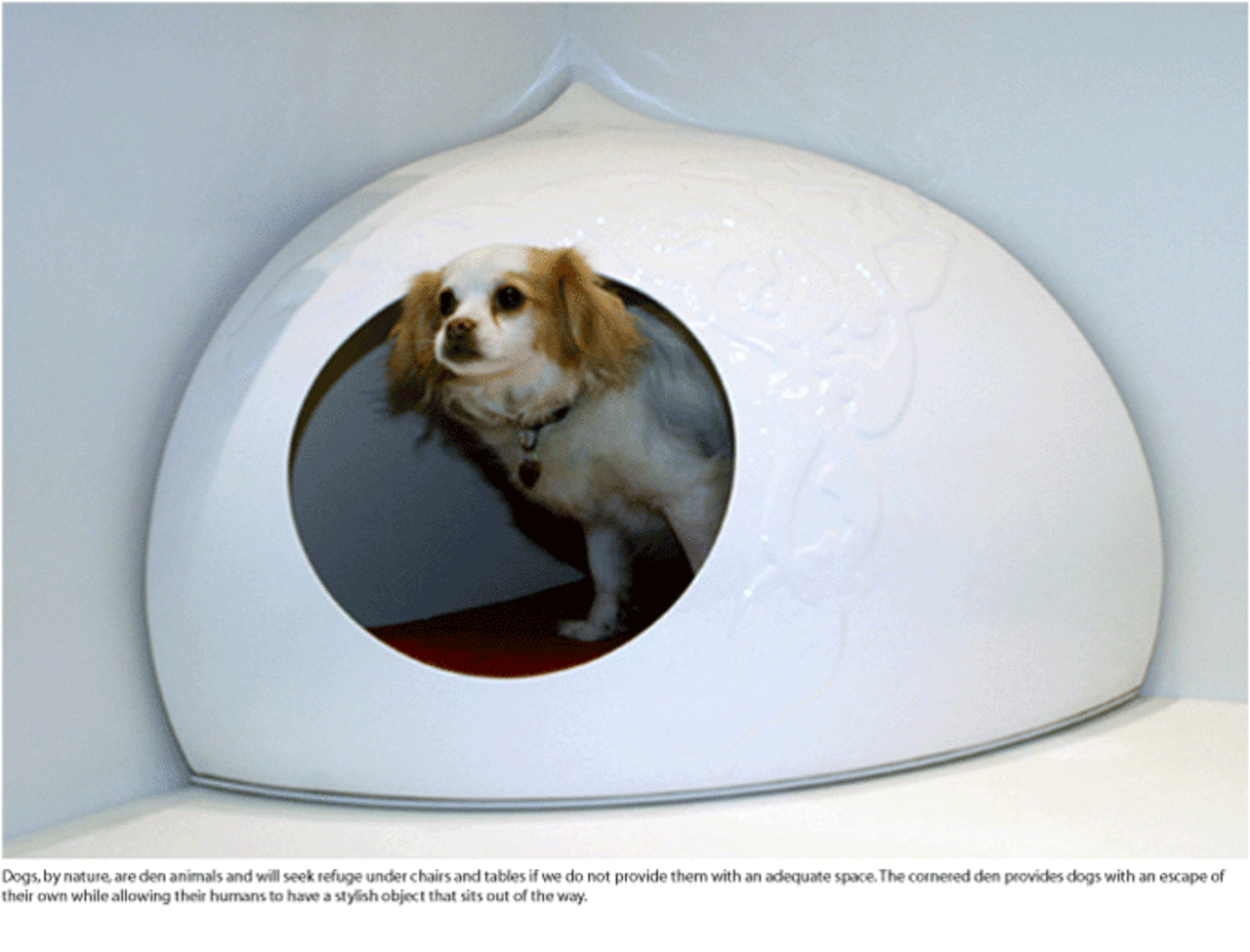 Slimmad design för hunden