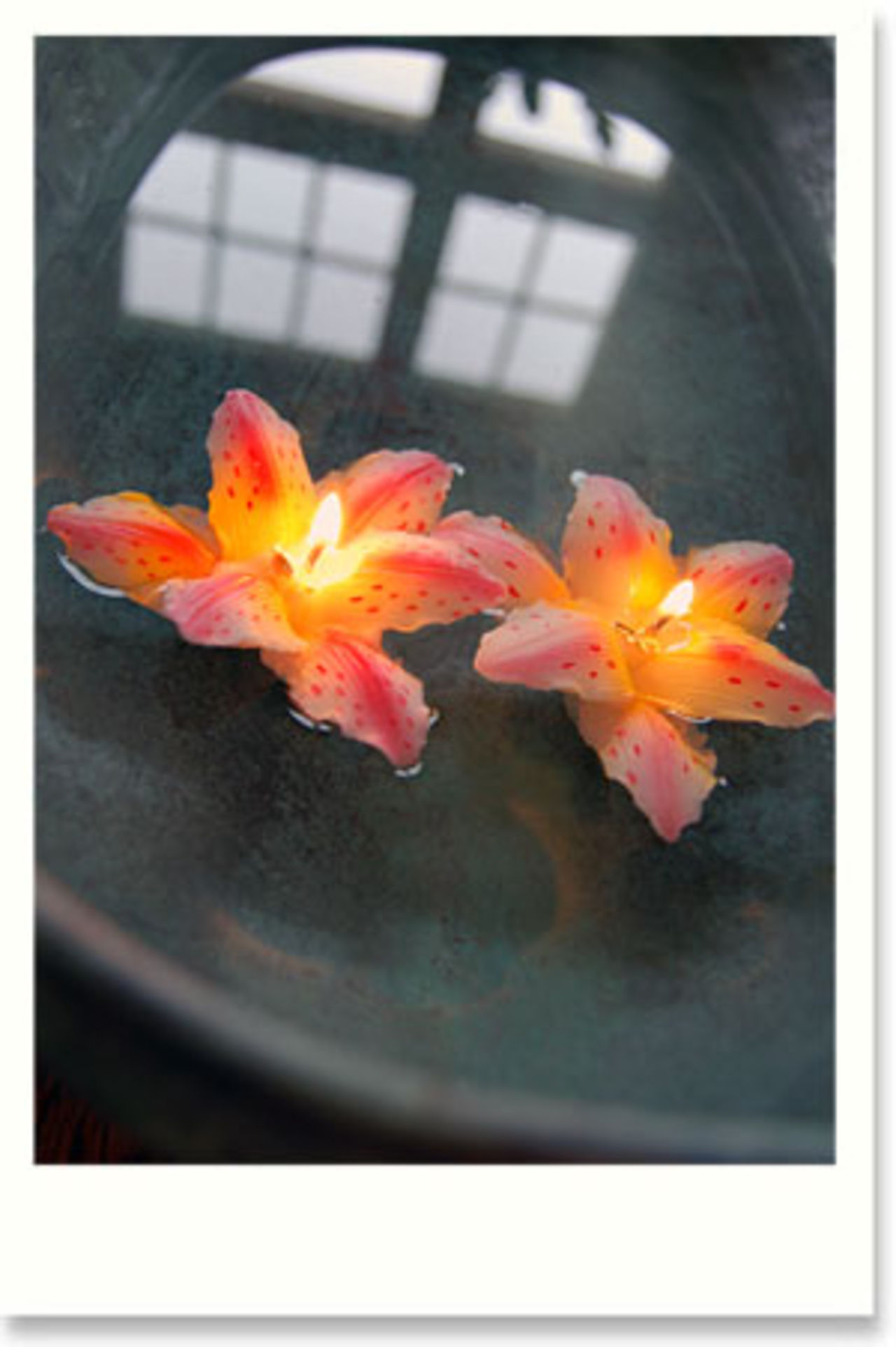 Fina flytljus från Cosas