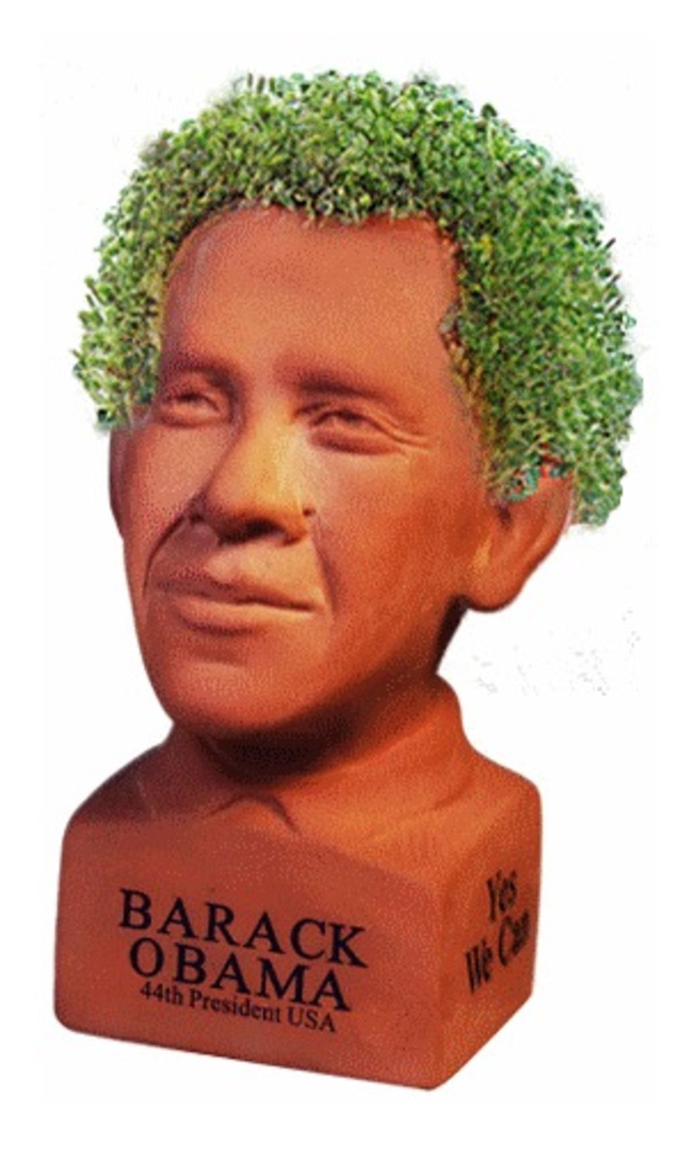 Har du gröna fingrar?