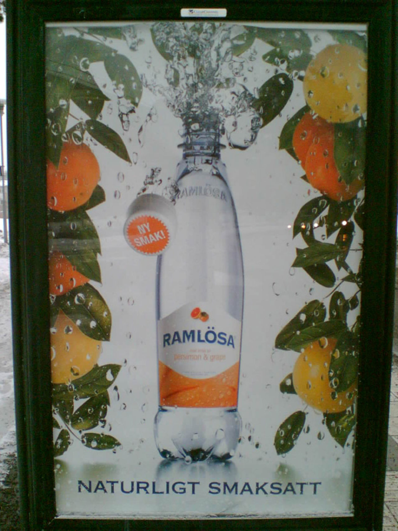 Ramlösas stortavla