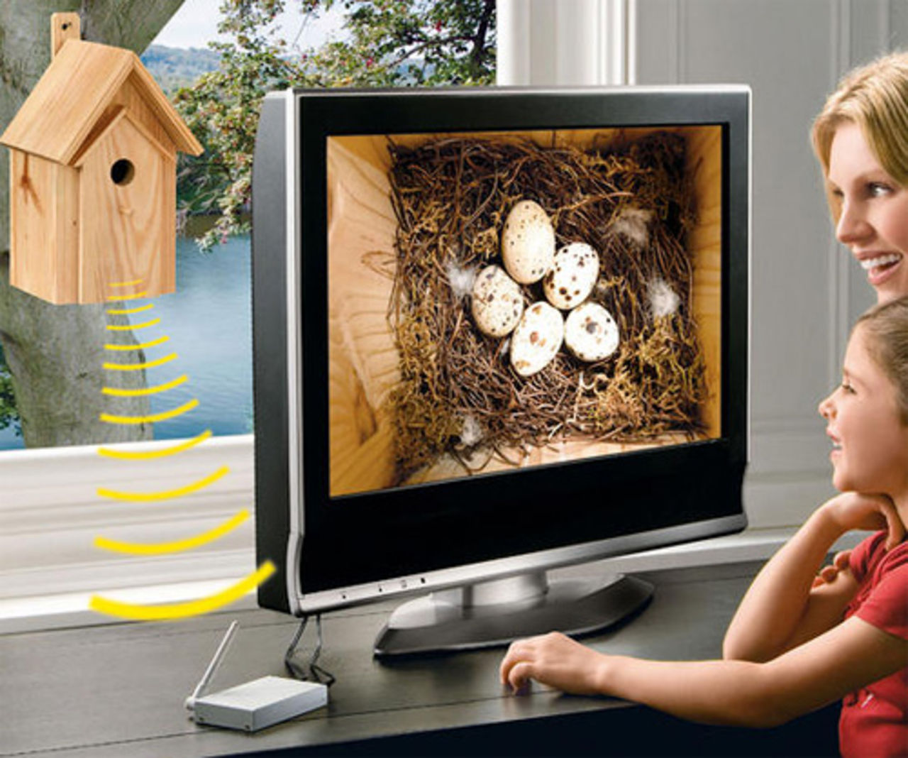 Fågelholk med inbyggd kamera