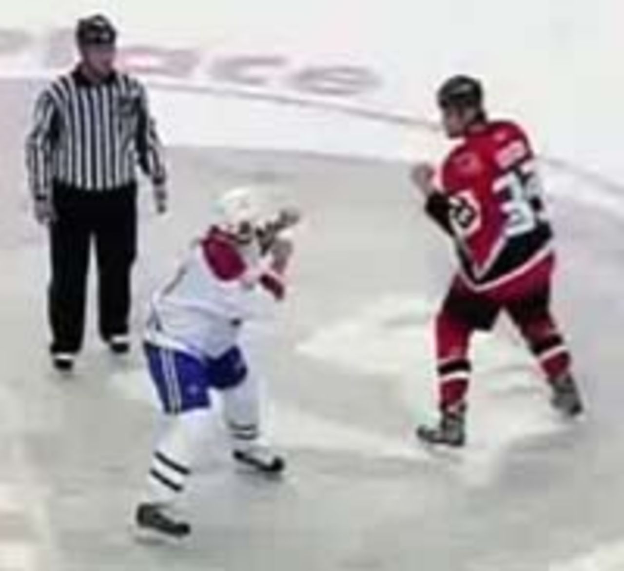 Hårda killar spelar hockey