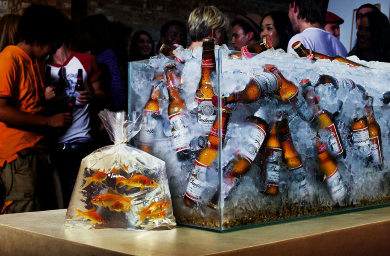 Budweiser on ice