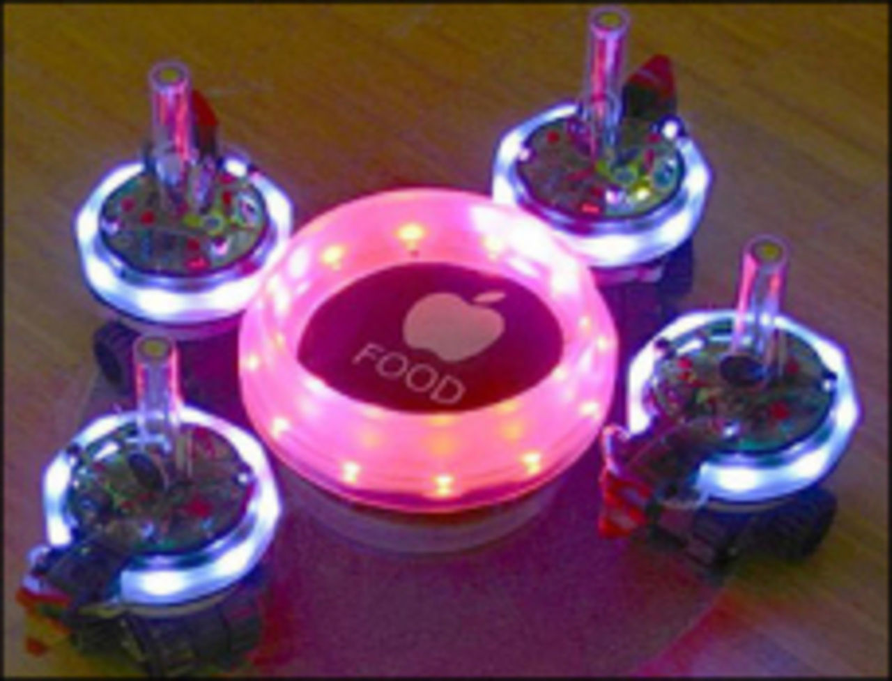 Robotar lär sig skilja på mat och gift