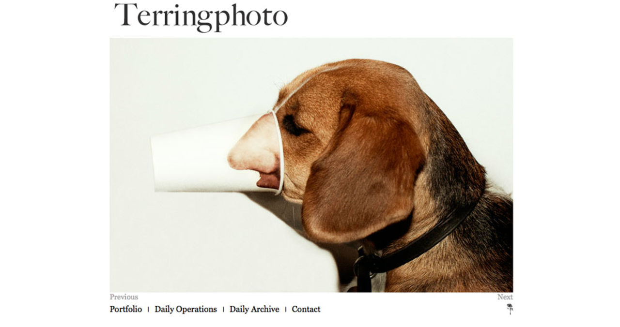 Fotograf: Björn Terring