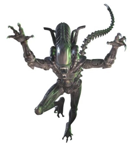 Tumnagel