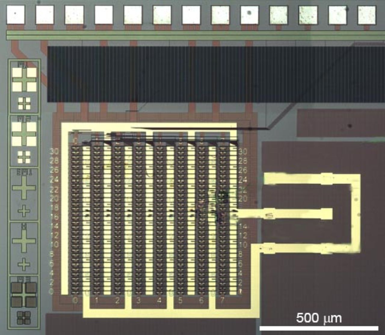 Kolbaserade datorchips närmar sig