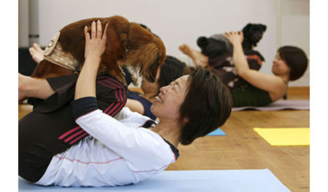 Hund-yoga
