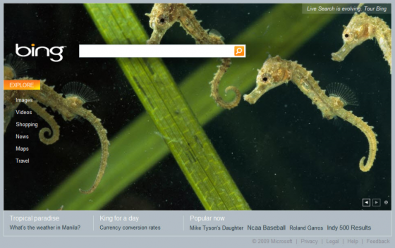 Bing kan bli ett misslyckande