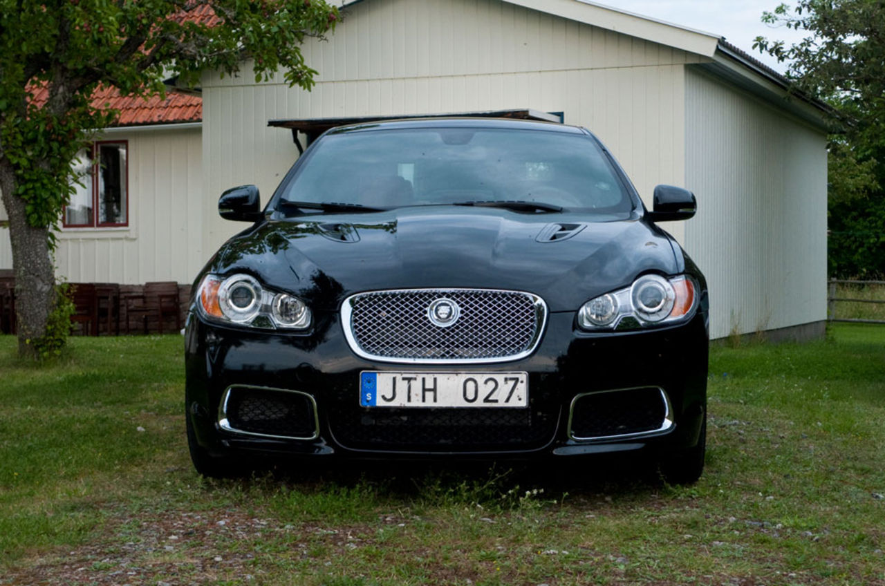 Folk flyttar sig när katten kommer