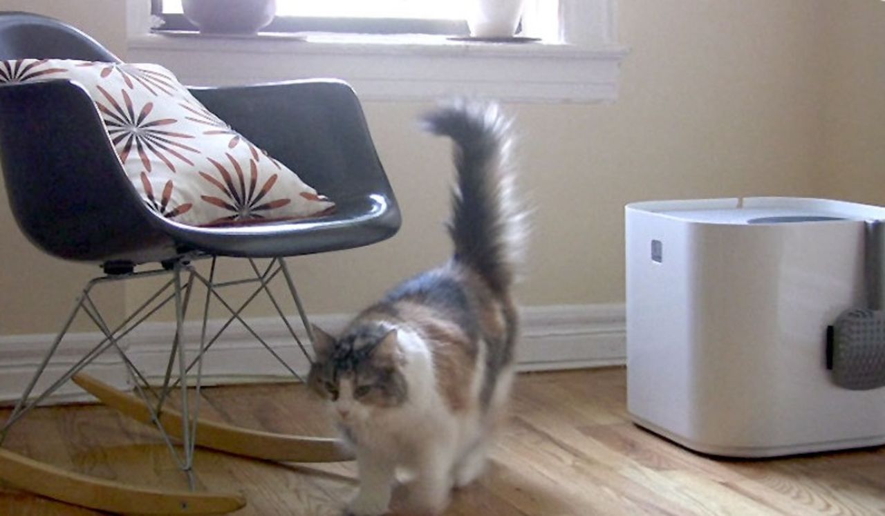 Snyggt hemlighus till katten