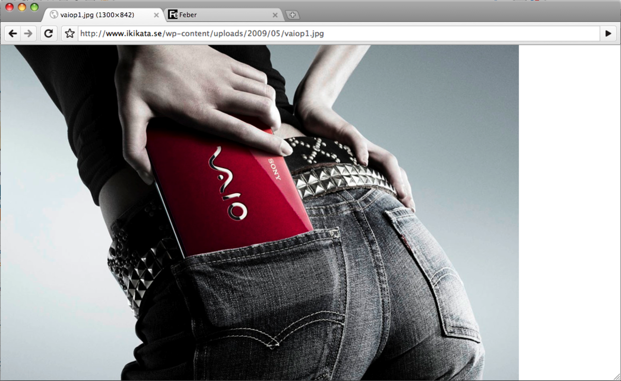 Sonys datorer får Google Chrome som webbläsare