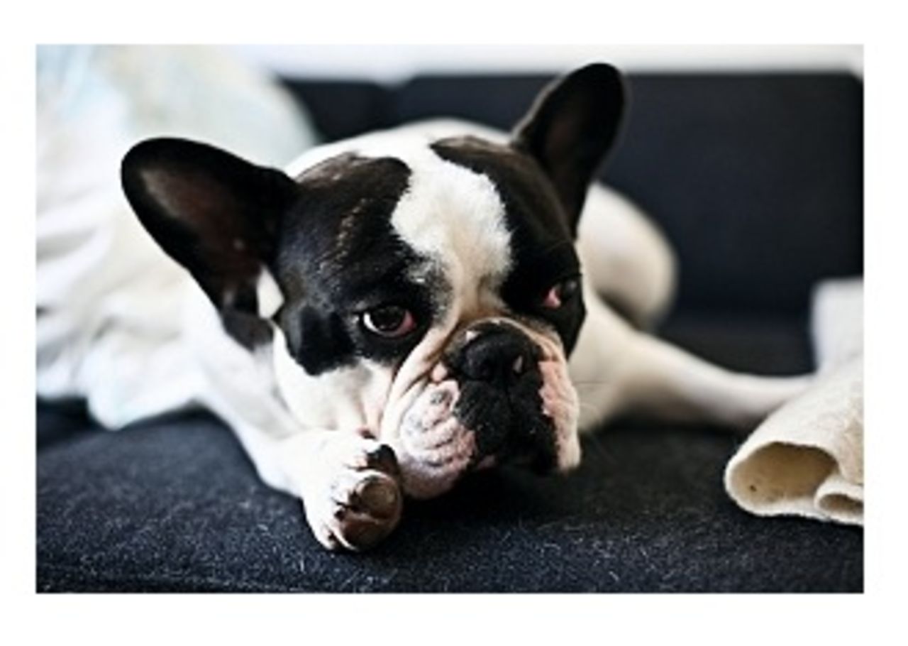 Jag fick ett tips...