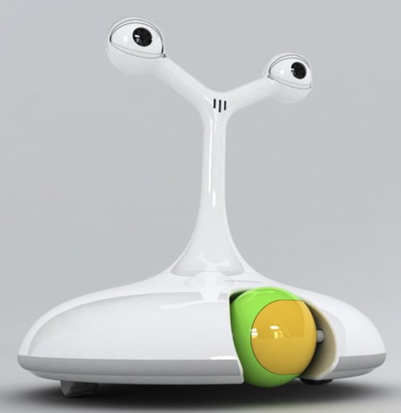 Tar hand om ditt husdjur