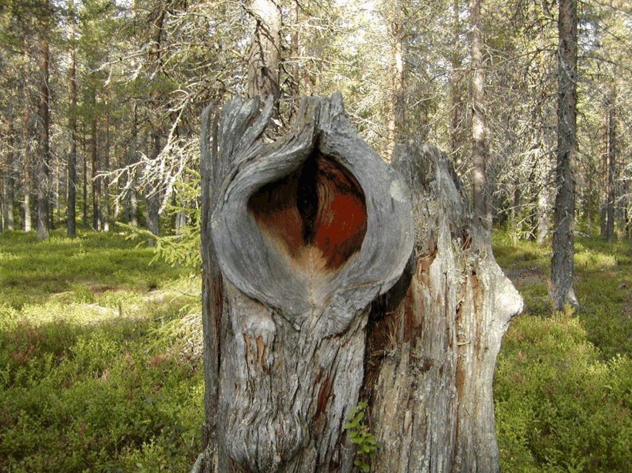 Det stylas som aldrig förr