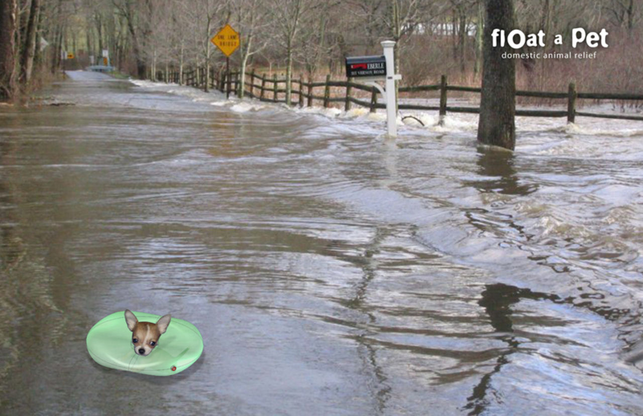 Float-a-Pet - ett flythalsband till hunden