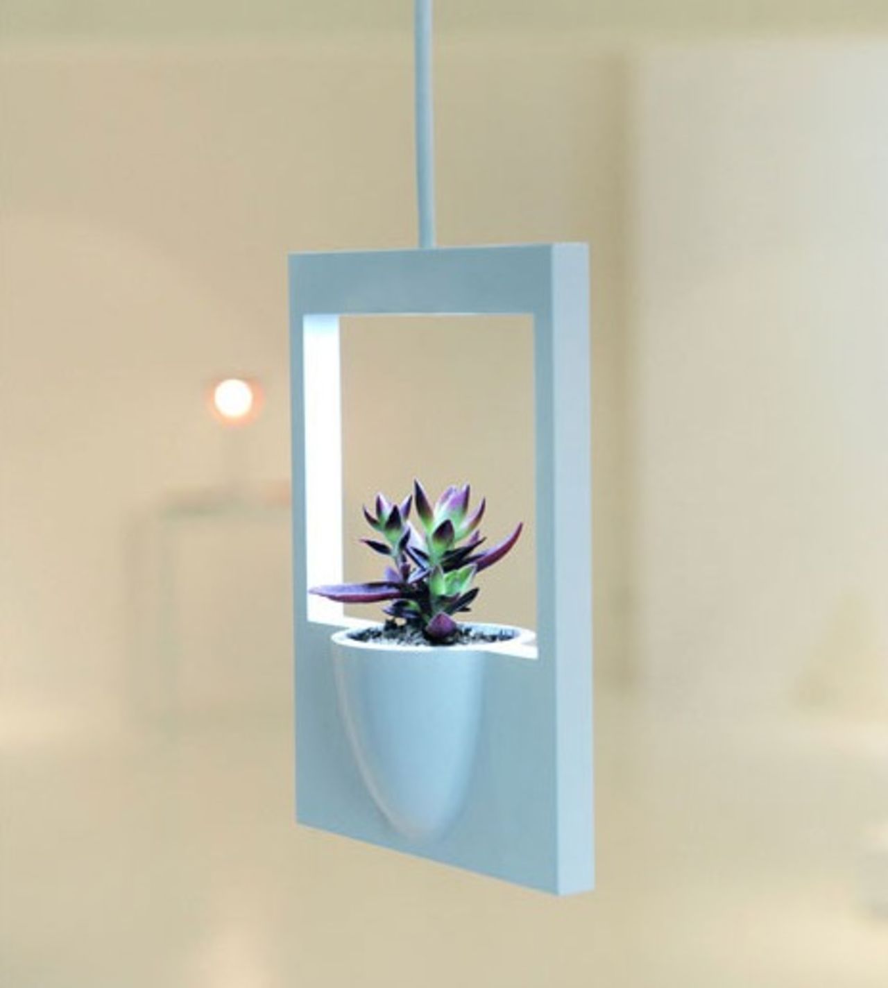 Polaroid Flower Vase