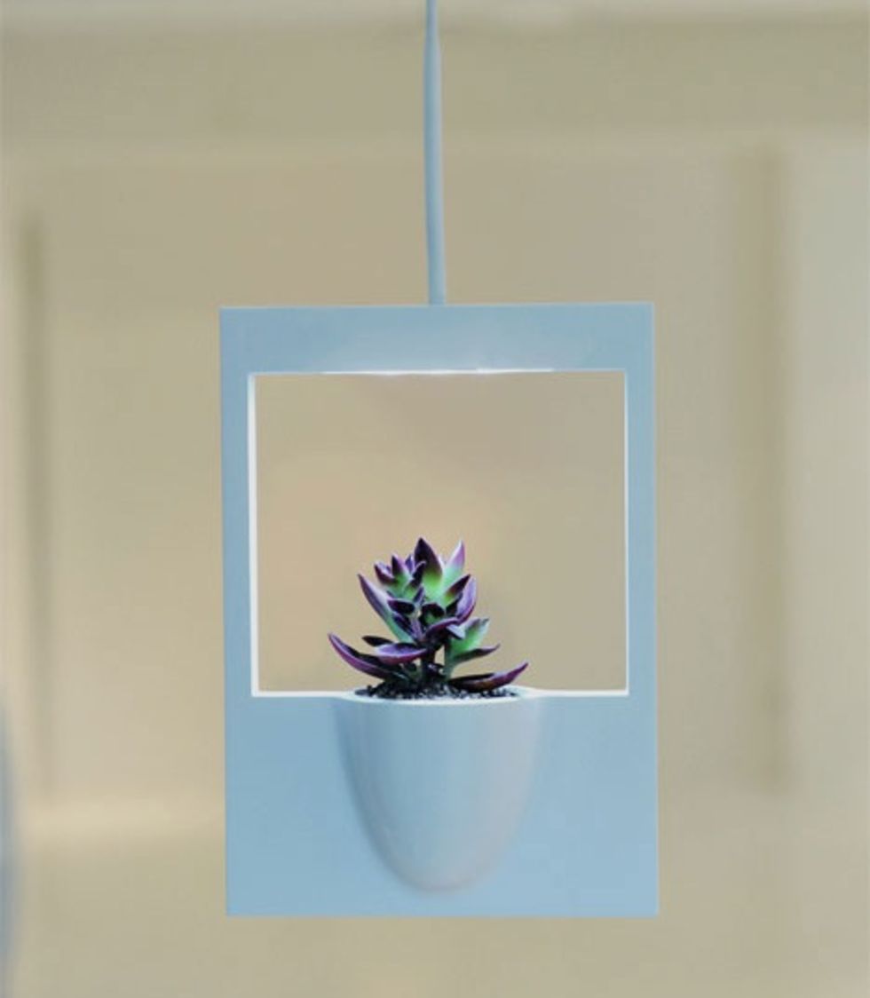 Polaroid Flower Vase