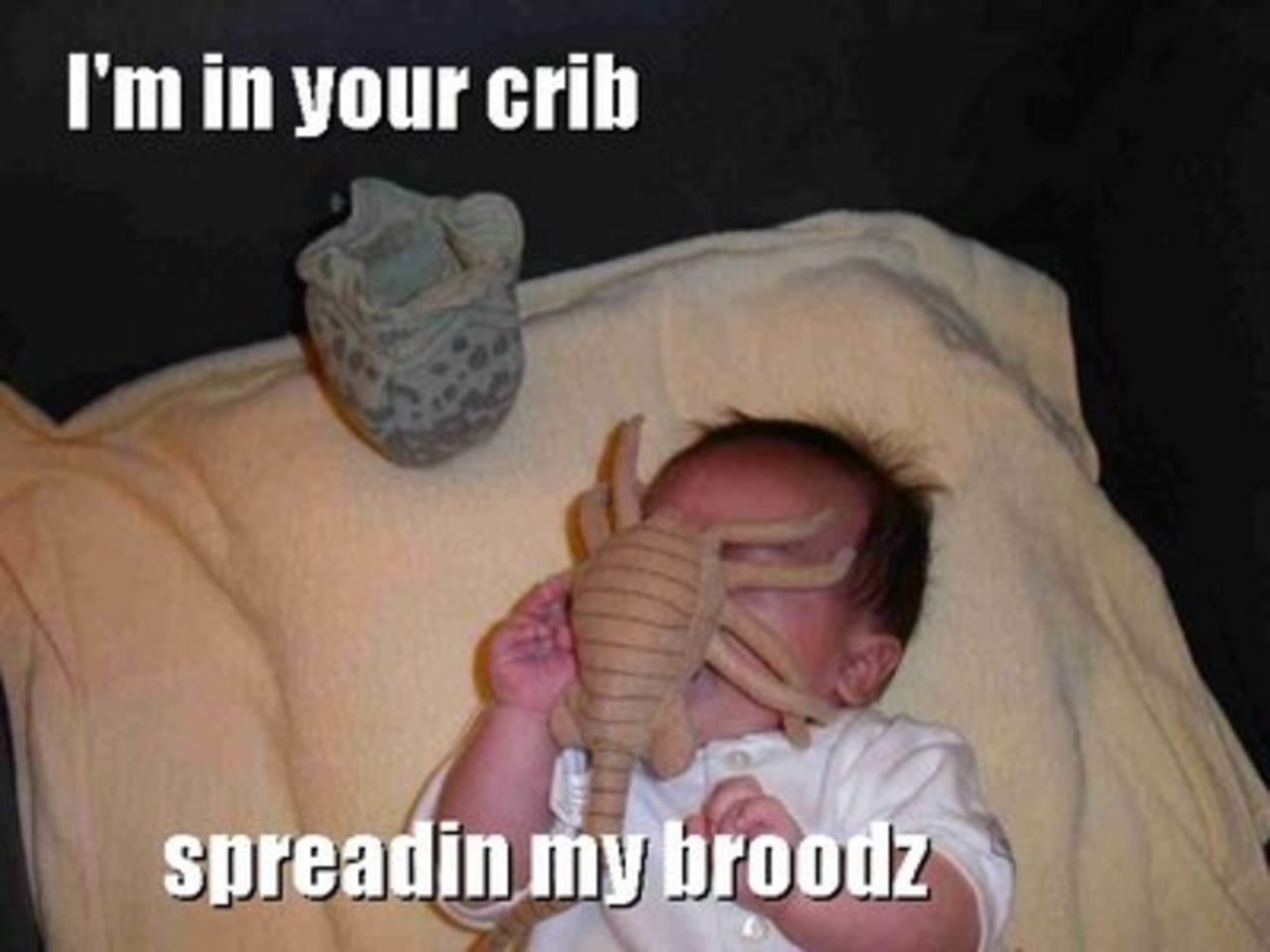 Releasedatum för Alien vs Predator