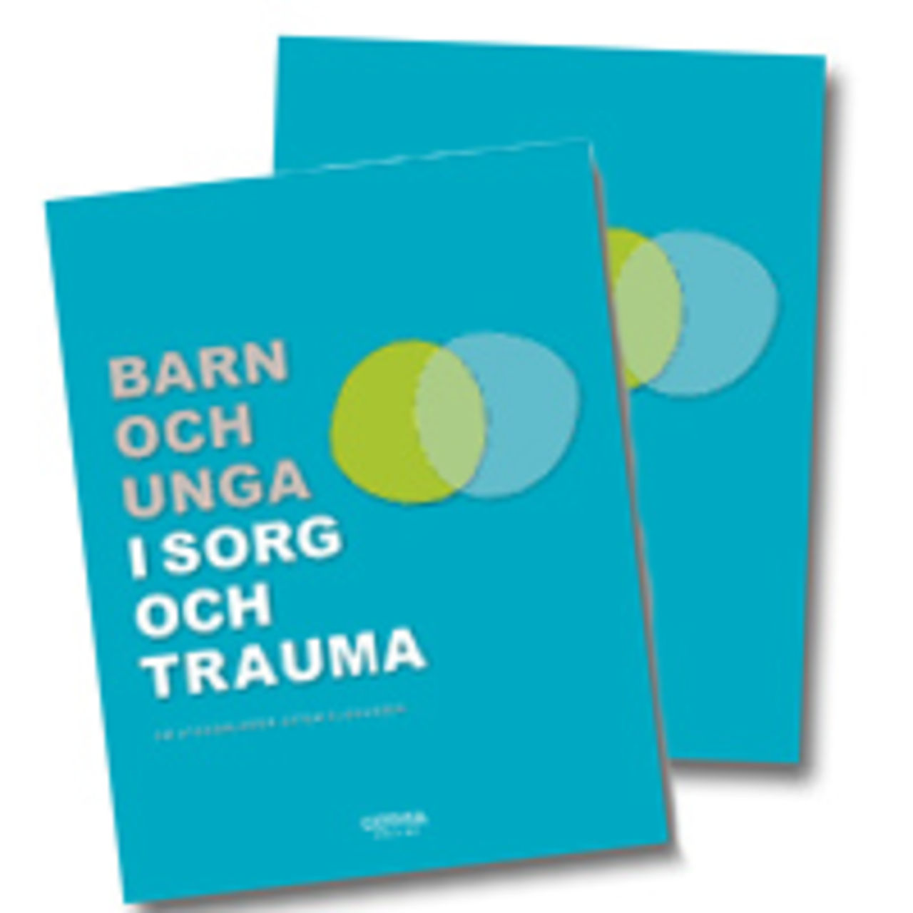 Barn och unga i sorg och trauma