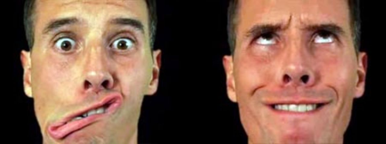 Facethoven