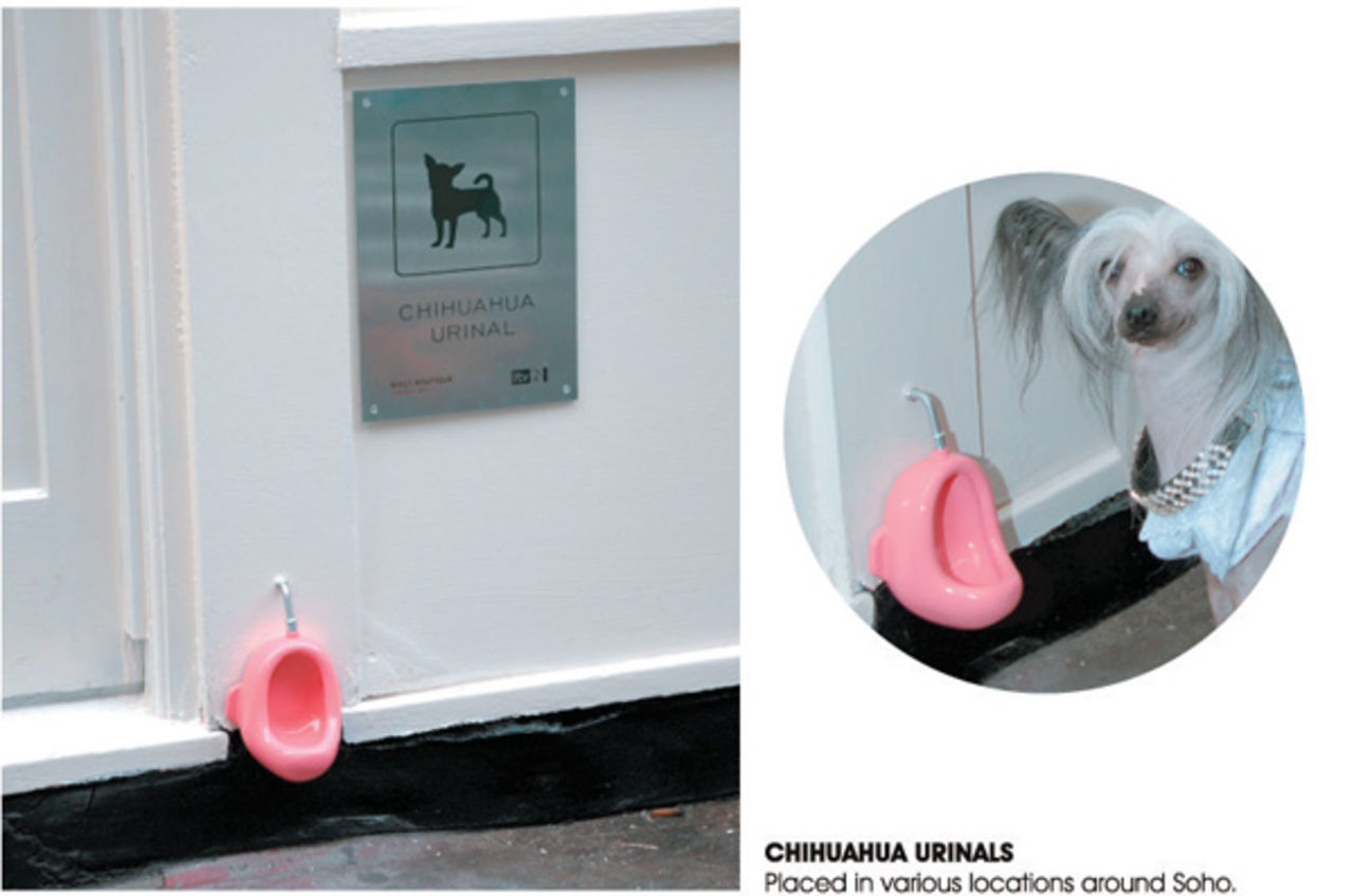 En urinoar för Chihuahuaor