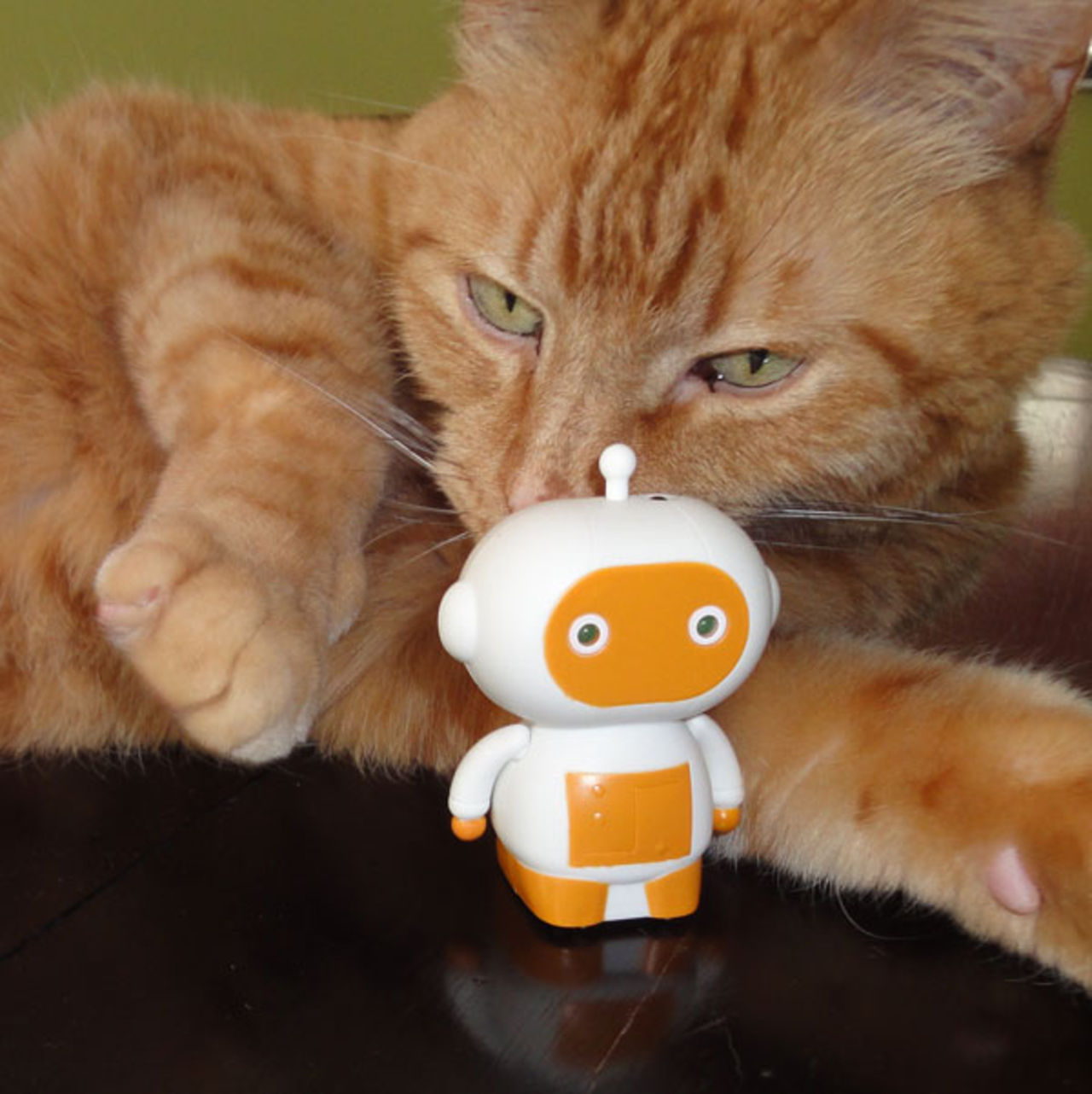 Zibits - radiostyrda mini-robotar