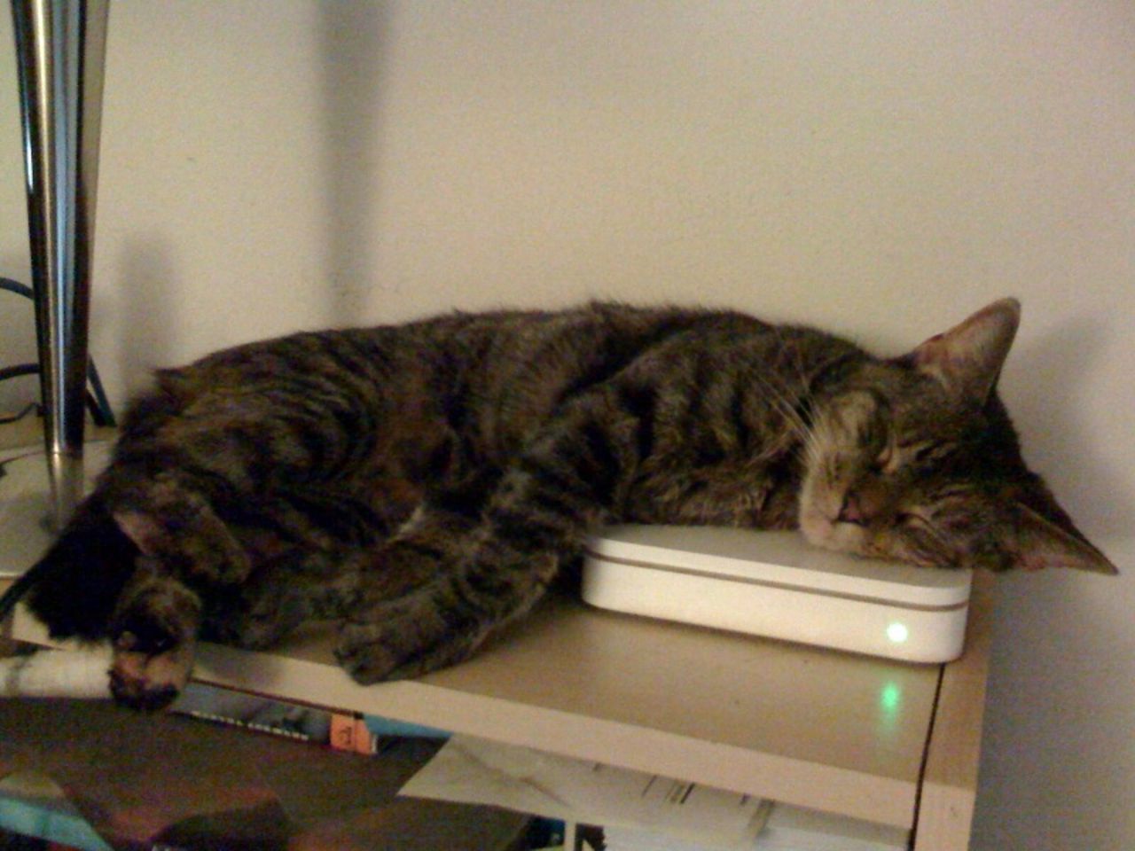 Nya Airport Extreme strular