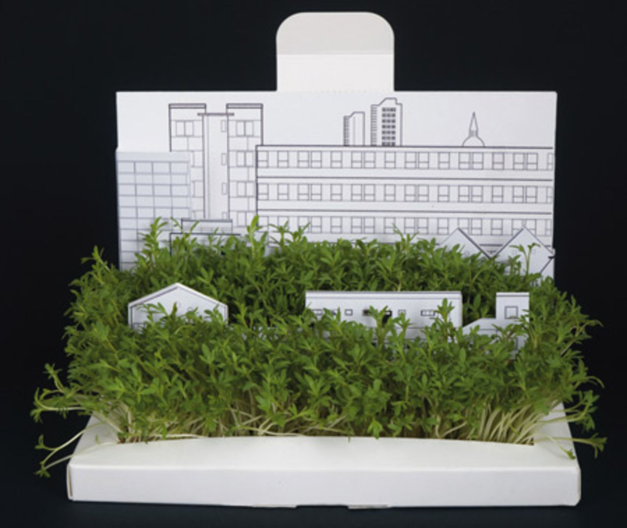 Skicka en en trädgård