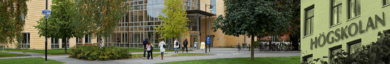 Populärt med spelutbildning