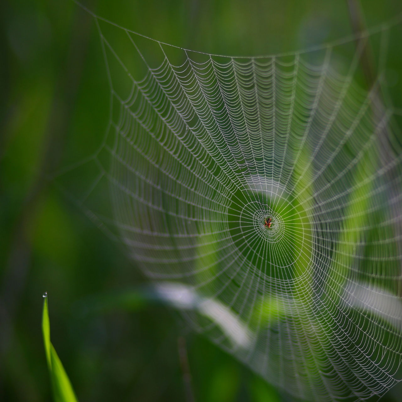 På internet kan ingen höra din stämningsansökan