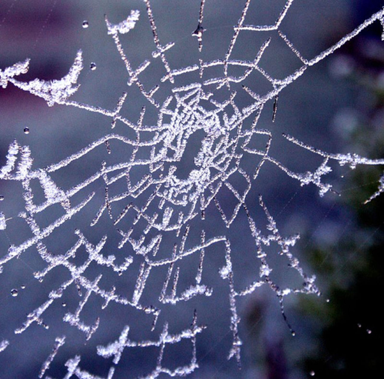 Vad har vi i våra nätverk?