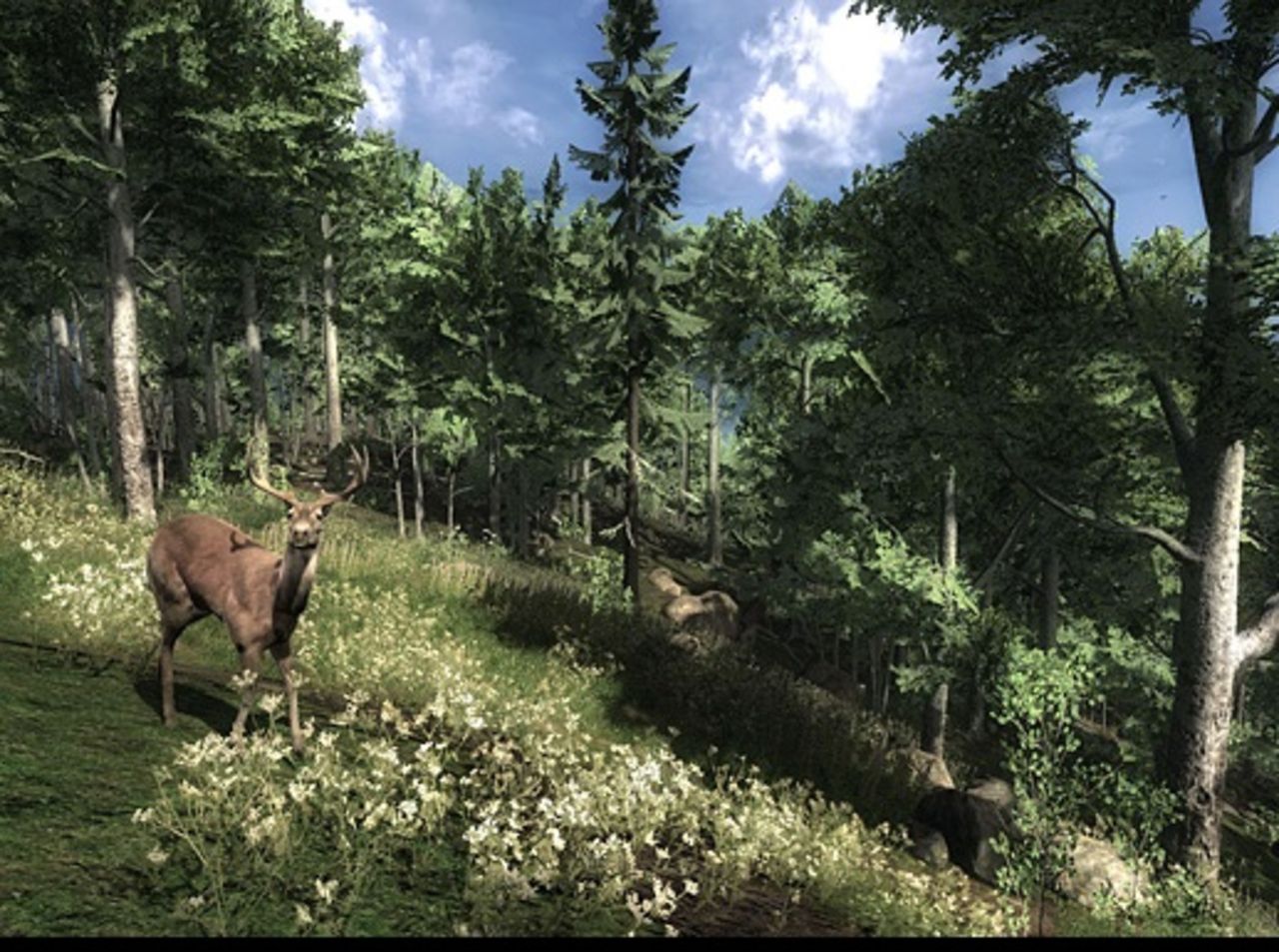 Avalanche öppnar upp ny studio