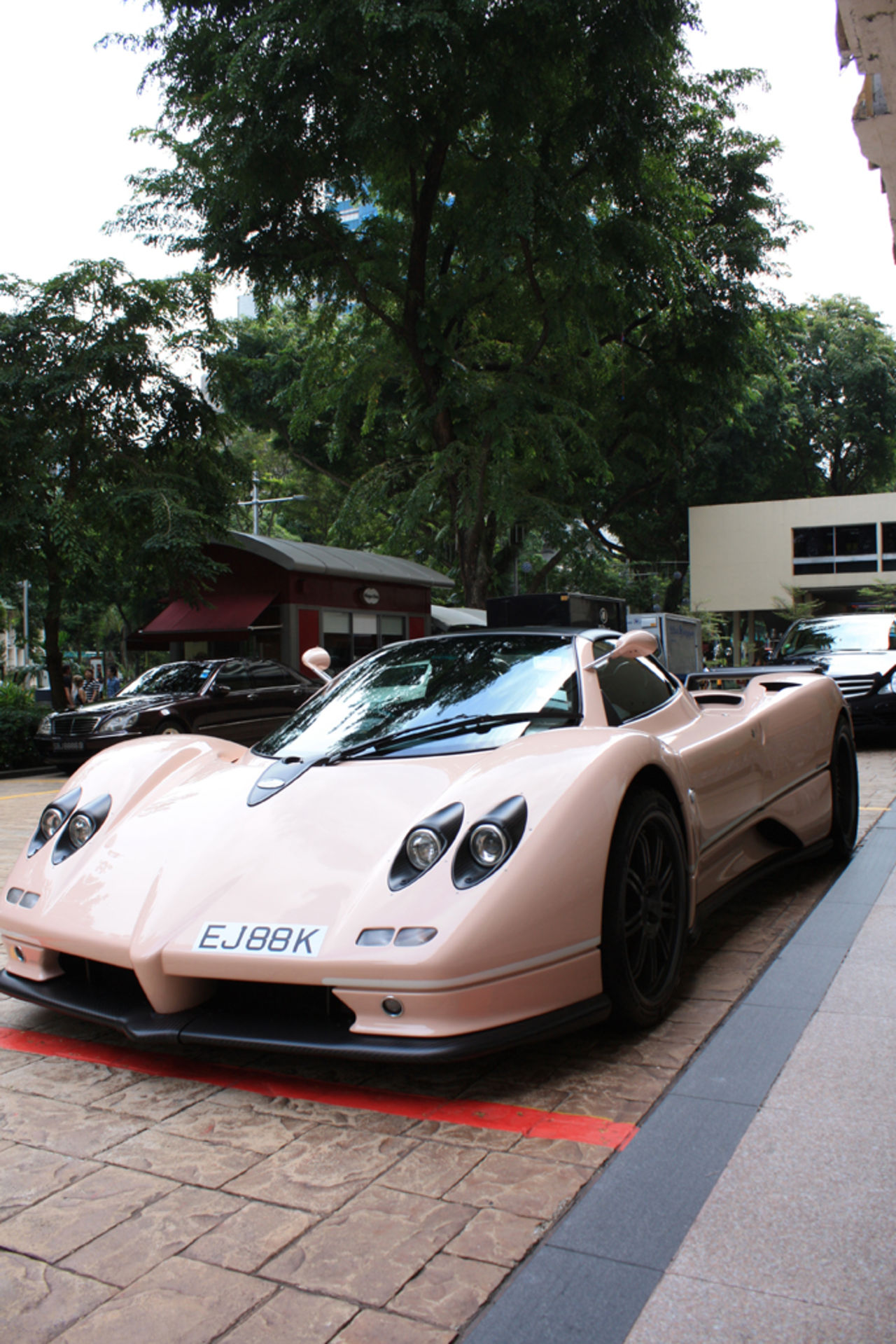 Pagani Zonda S i en inte alltför vanlig kulör