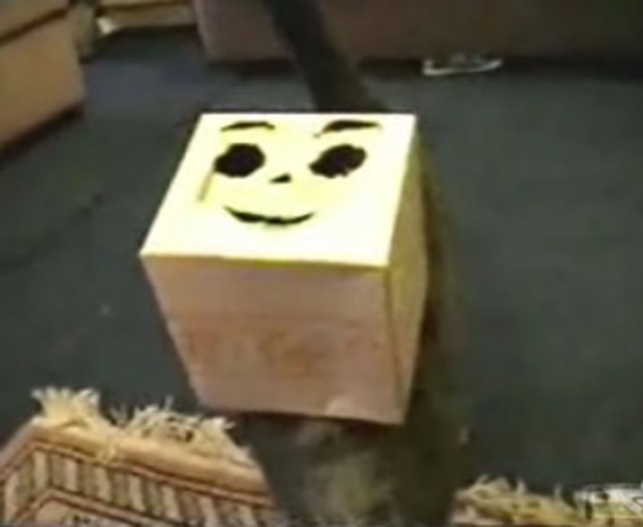 Katt på maskerad