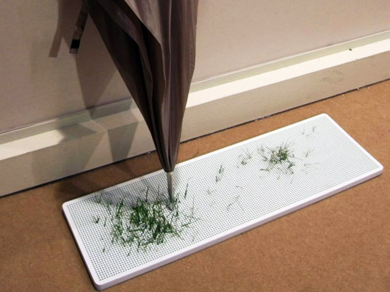 Låt hallen grönska