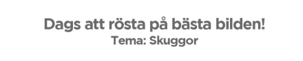 Tumnagel