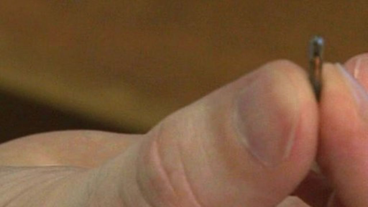 Första människan implanterad med datorvirus