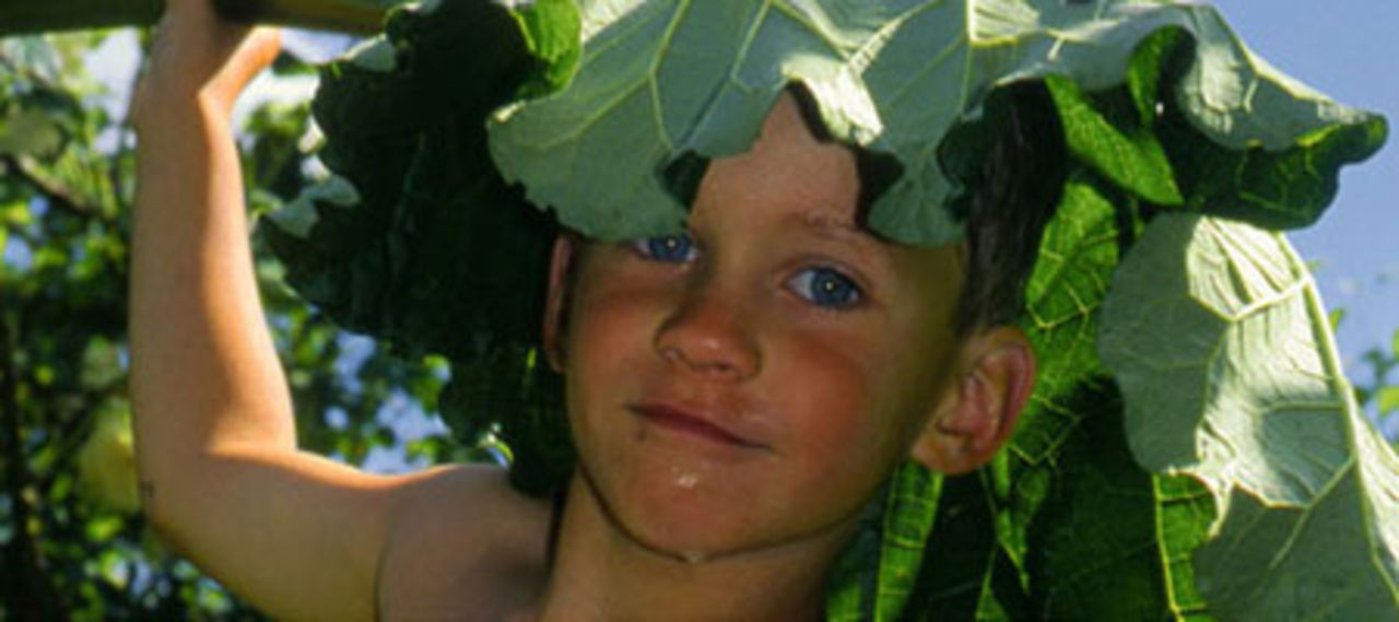 Trädgårdsinspiration i helgen