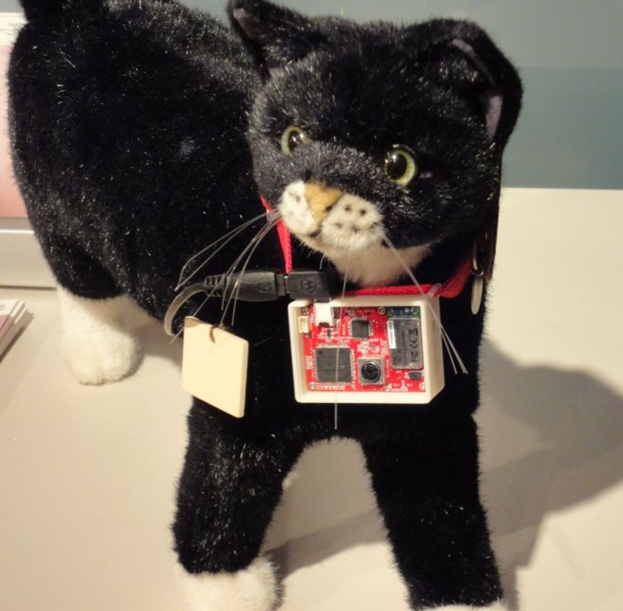 Sony fixar Twitter-maskin till din katt