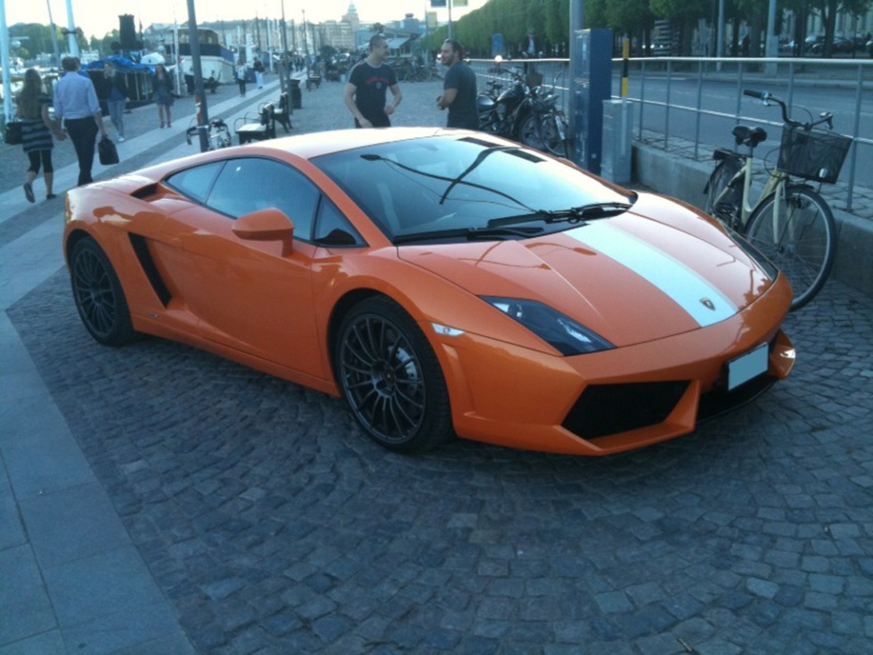 En häst och en tjur