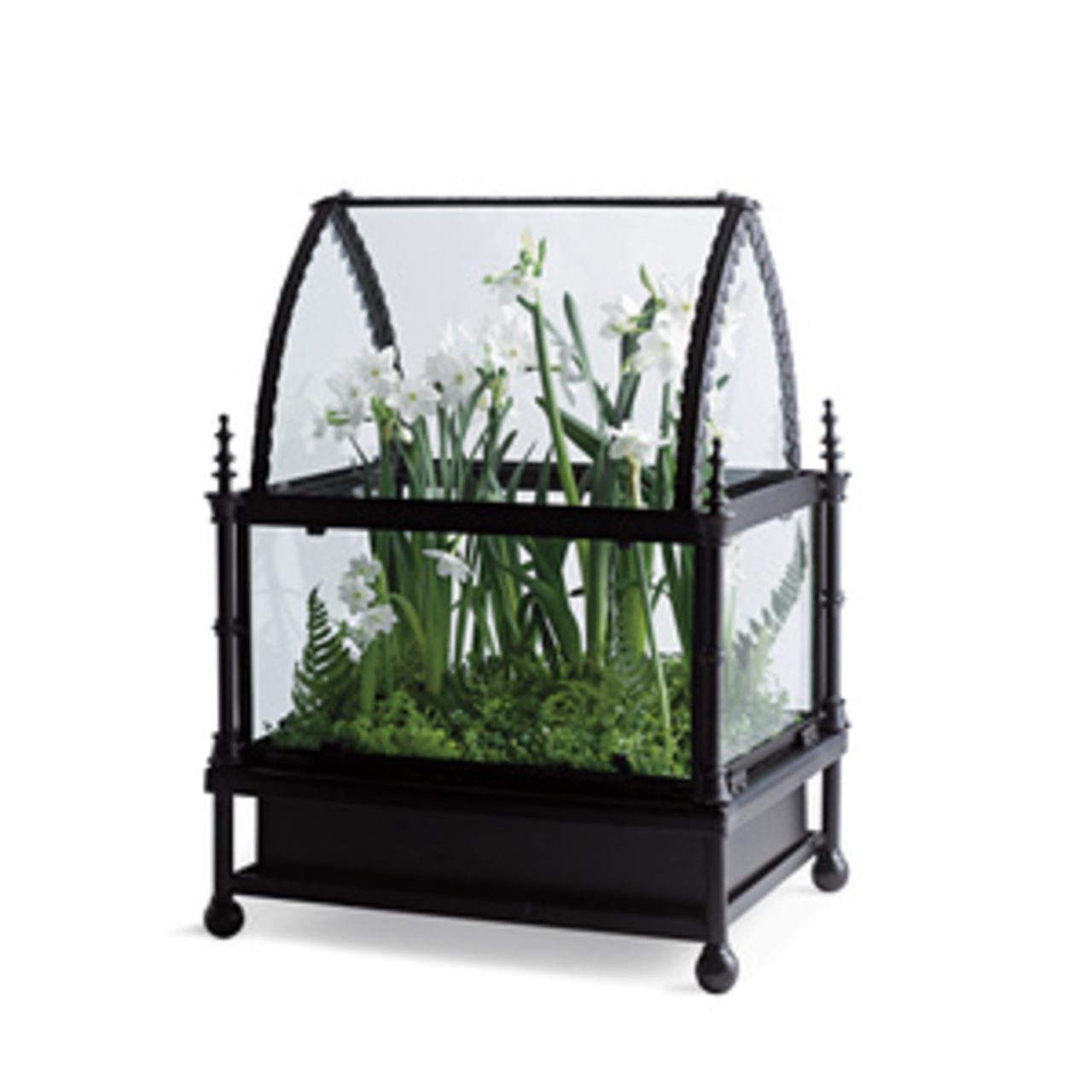 Växthus för trångbodda