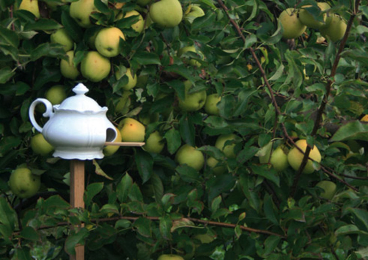 Klart pippi ska bo i kanna