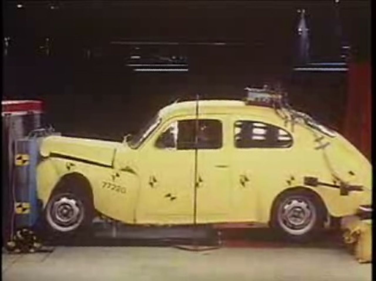 Rex The Dog - Maximize